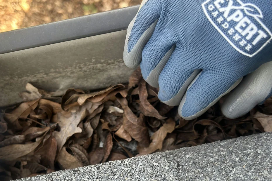 Gutter Cleaning Winter Garden FL