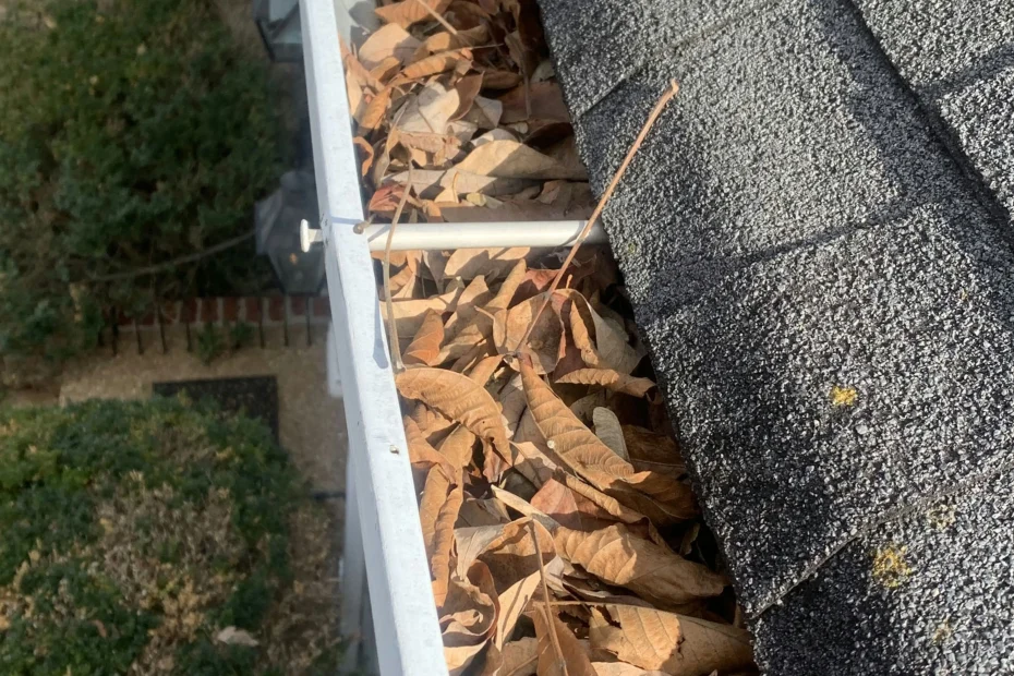 Gutter Cleaning Winter Garden FL