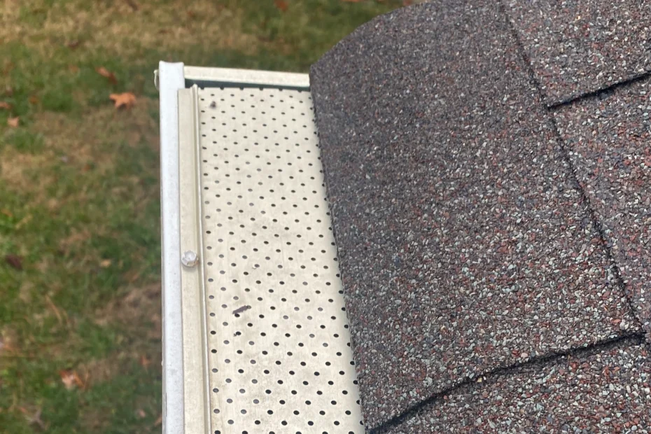 Gutter Cleaning Winter Garden FL