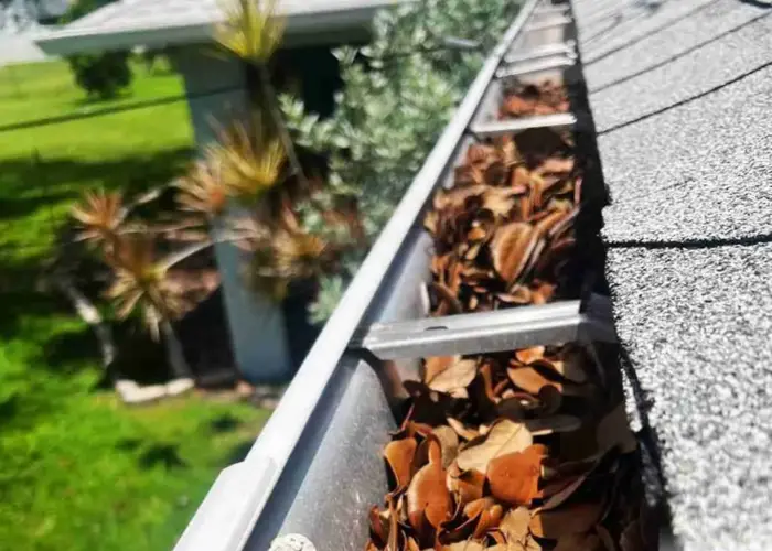 Gutter Cleaning Winter Garden FL home page